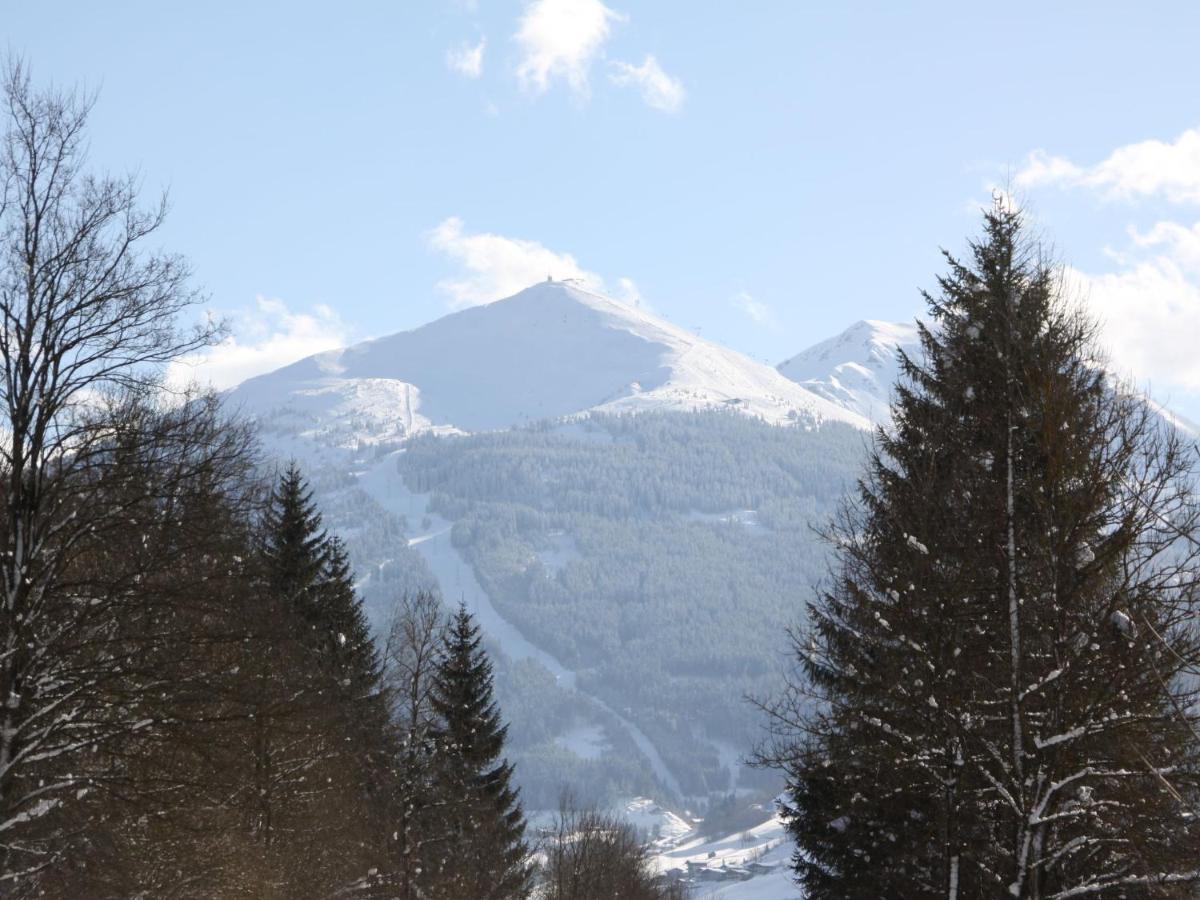 Apartment Haus Harlander By Interhome Dorfgastein Kültér fotó